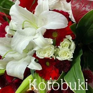 紅白「ことぶき」