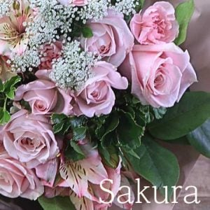 淡いピンク「さくらいろ」