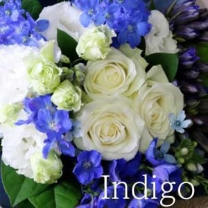 青白「インディゴ」