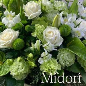 グリーン白「みどり」