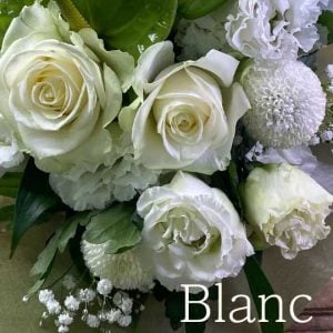 白「ブラン」