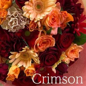 赤オレンジ「クリムゾン」