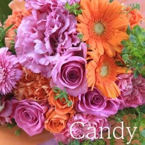 ピンクオレンジ「キャンディ」