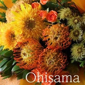 黄オレンジ「おひさま」