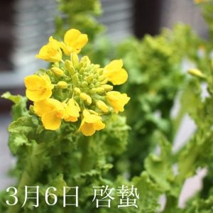 ３月６日「啓蟄」