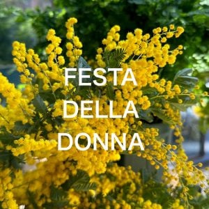 ３月８日「ミモザの日」