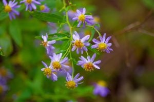 大切にしていること