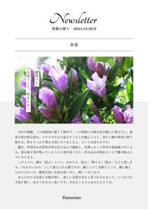 季節の便り　2024.10.08号