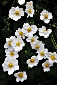 ささやかだけど役に立つこと