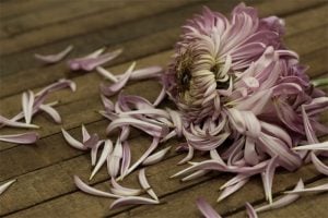 君ができる限り。