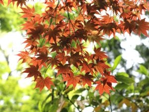 すぐ役に立つことは、すぐに役立たなくなる