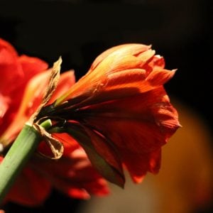 Love the life you live