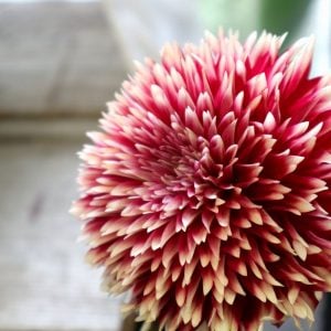 自然に学び、自然を愛し