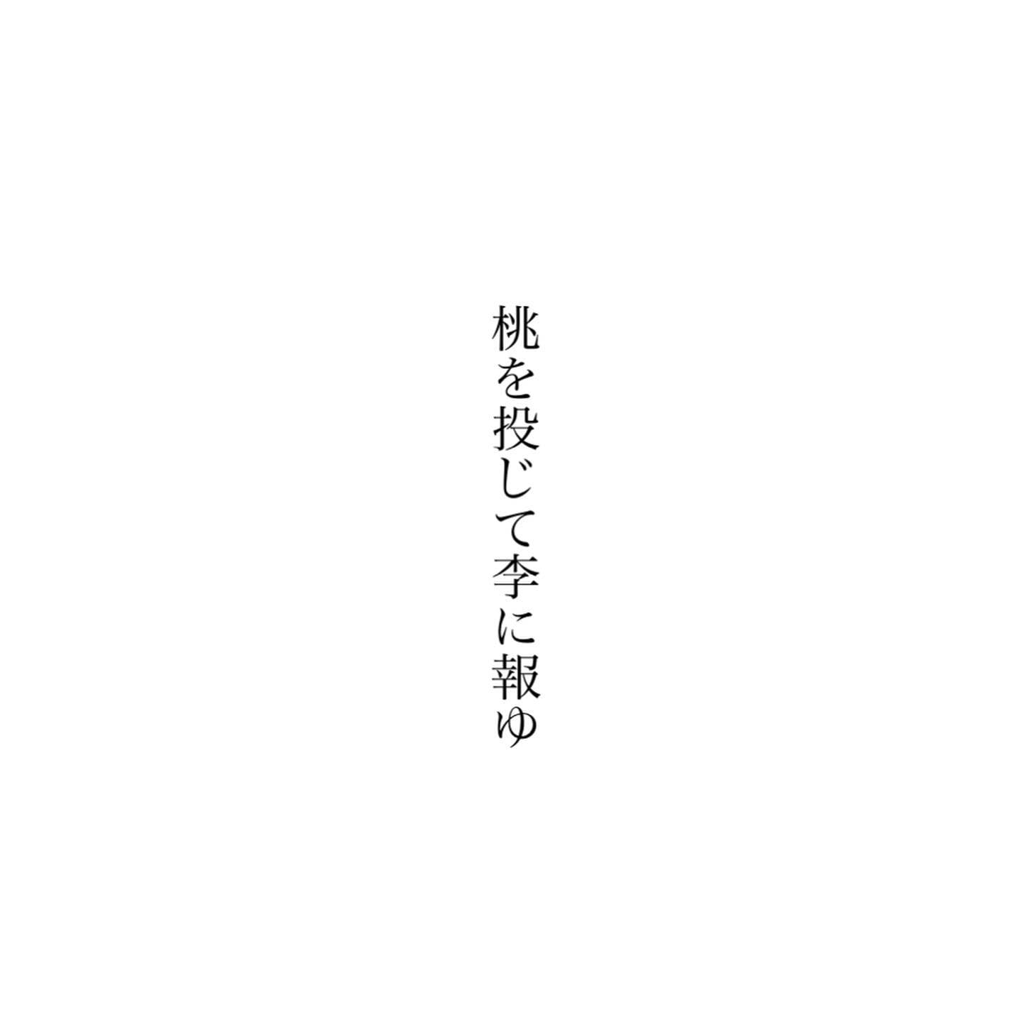 「桃を投じて李に報ゆ」とは、投桃報李(とうとうほうり)の訓読で、桃が贈られてくれば、その返礼として李を贈ることをいい、自分が善をほどこせば、自然と相手も善に報いるものだといっています。日々、自分が与える以上に、なにかと嬉しく喜ばせてくれる人たちへ、お返しひとつも見つからない今だけれど、そんな道理にかなった関係を、いつも心に懸けながら、これからも大切にありがたく、繋いでゆきたく思います。今日もいちりんあなたにどうぞ。スモモ 花言葉「甘い生活」