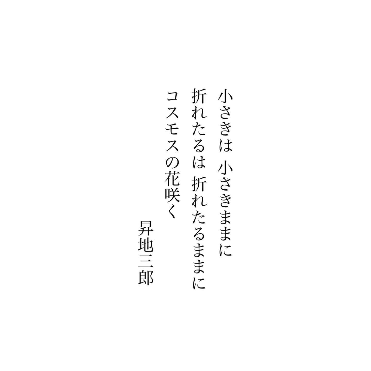 小さきは 小さきままに　折れたるは 折れたるままに　コスモスの花咲く-昇地三郎今日もいちりんあなたにどうぞ。コスモス 花言葉「調和」