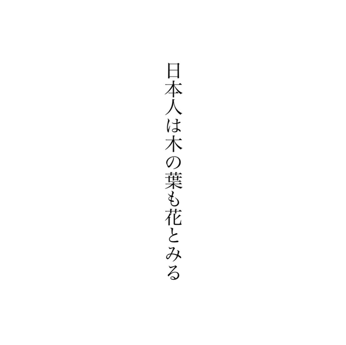 秋も終盤をむかえています。足元に広がる落ち葉をみていると、いよいよ冬なのだと実感しますし、その紅葉も、まるで天からの授かりもののように思えてくるのは、これもこの季ならではの情緒でしょう。ふと「日本人は木の葉も花とみる」という言葉を思い出しました。たとえば葉先から枯れていくことを「末枯れ」といいますが、そんな自然現象にまで言葉を与えたのも日本人。自然に対する敬虔な心を知るたびに、頭がさがる思いです。今日もいちりんあなたにどうぞ。