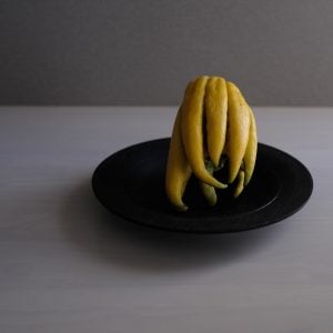 ブッシュカン 花言葉「本当の私を見て」