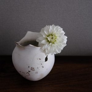 ダリア 花言葉「感謝」