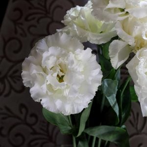 リシアンサス 花言葉「よい語らい」