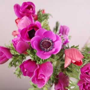 アネモネ 花言葉「期待」