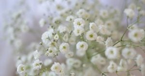 「子どものミカタ」花屋の向こう側