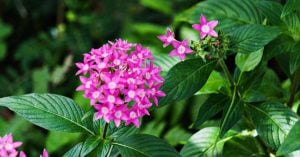 あとみよそわか