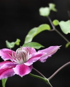 人の役に立てることこそ社会に出ることの喜び