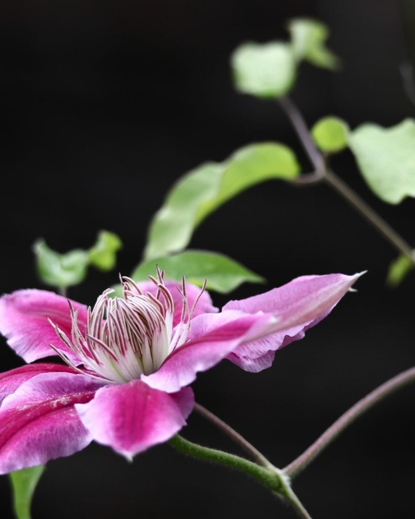 人の役に立てることこそ社会に出ることの喜び