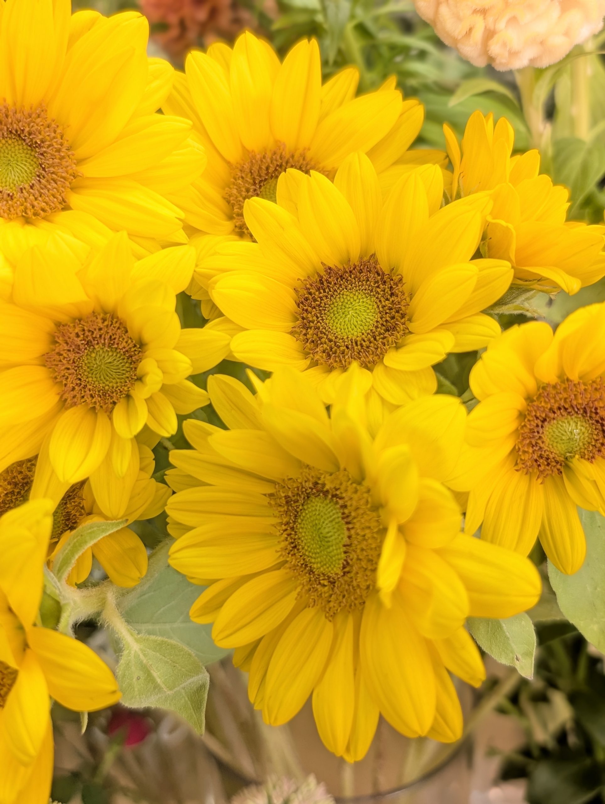 町と花屋と子供たち