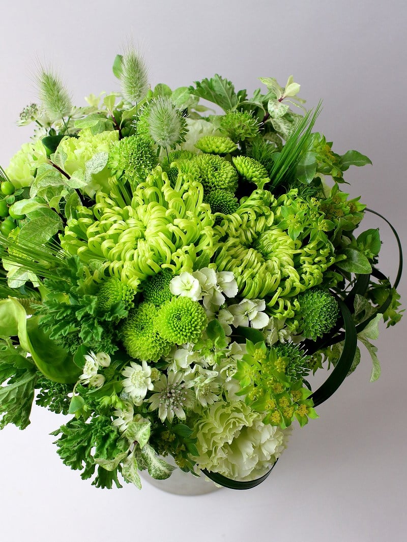 緑寿（ろくじゅ）とは？66歳を祝う新しい長寿祝いと花贈りのマナー | 花贈りの豆知識