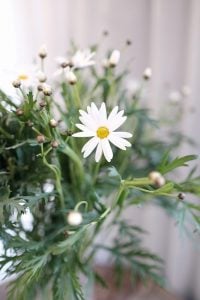 二十四節気とは　七十二候について