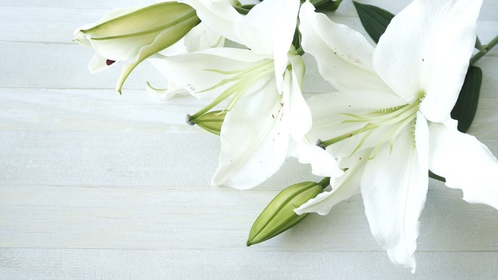 強い香りの花（ユリなど） → 仏壇まわりの配慮