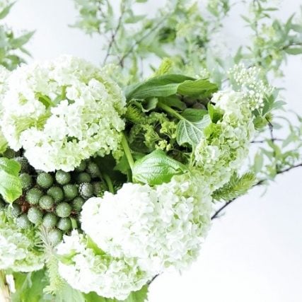 カラー、トルコキキョウなど清らかで落ち着いた花