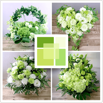 男女共通して緑色が好きだそうです。

緑色の場合、高齢者の目を通しても色の変化が少ないため、緑色が好まれるのではないでしょうか。