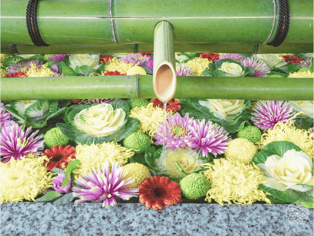 花手水とは？意味・作法・楽しみ方｜心を清める日本の美しい習わし