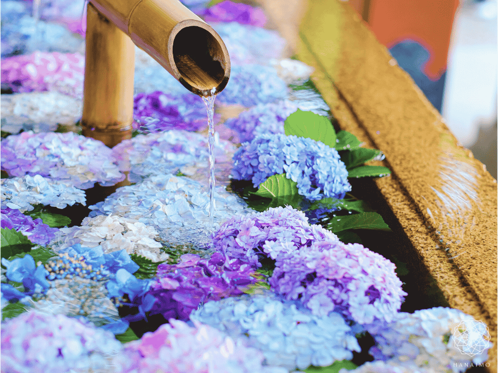 花手水とは？意味・作法・楽しみ方｜心を清める日本の美しい習わし