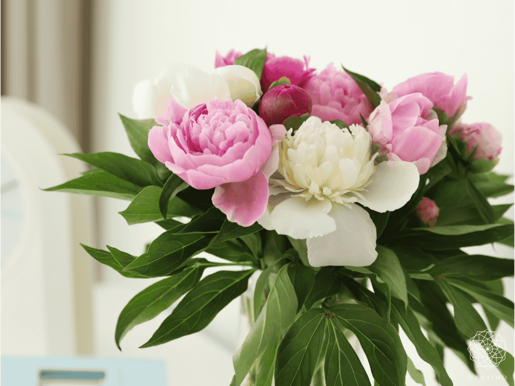 高齢の方へ贈る花の色選びのコツ