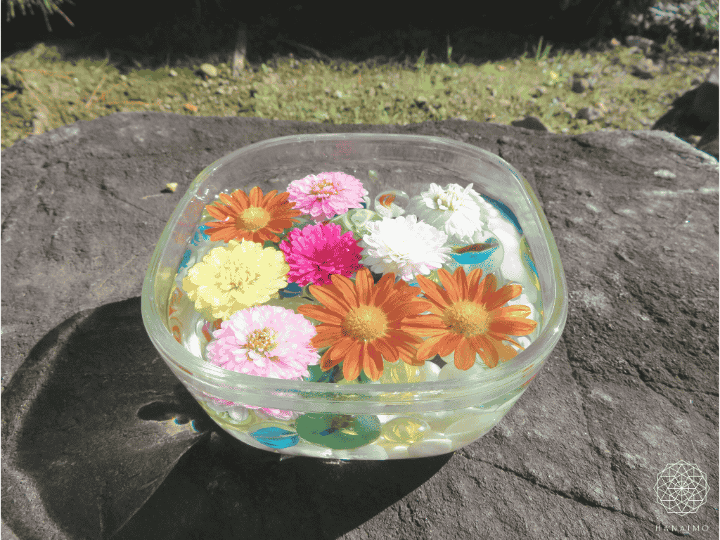 花手水とは？意味・作法・楽しみ方｜心を清める日本の美しい習わし