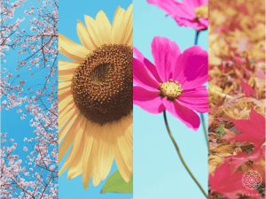 【月別まとめ】やさしい季節のごあいさつ｜1月〜12月の時候の挨拶文例集