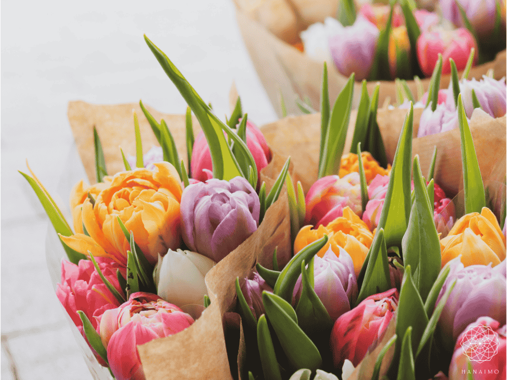 高齢者にとって「見えやすい色」とは？