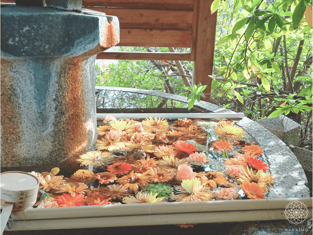 花手水とは？意味・作法・楽しみ方｜心を清める日本の美しい習わし