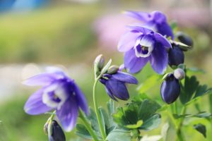 言葉にすれば想いは届き、言葉にならなくても想いは伝わる