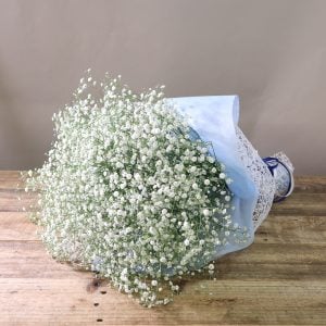 ありがとうございます。とにかくゴージャスです。