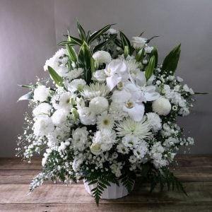 どの花たちも素晴らしく自信をもっておススメできます。