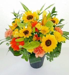 目立つ場所に置いていただきました