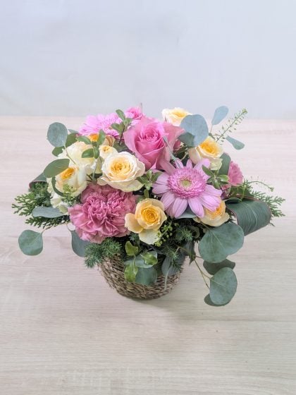 自宅療養している母がとても喜んでくれました。